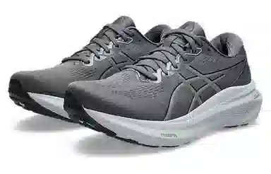 Asics Gel-Kayano 30