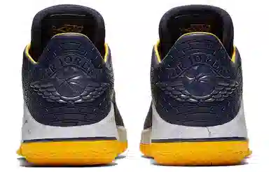 Jordan Air Jordan 32 Low "Michigan"