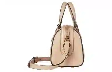 Gucci Classic G Mini Bag