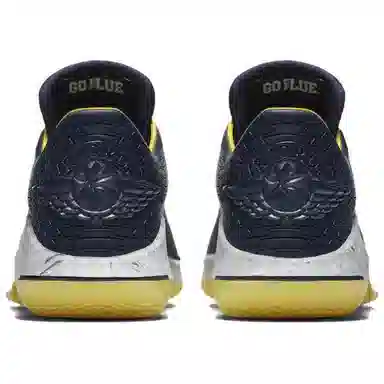 Jordan Air Jordan 32 Low "Michigan"