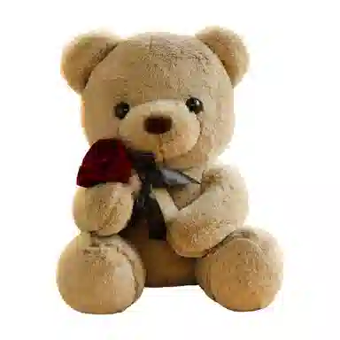 abay 30cm