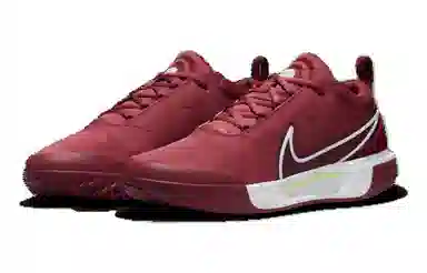 Nike Court Zoom Pro