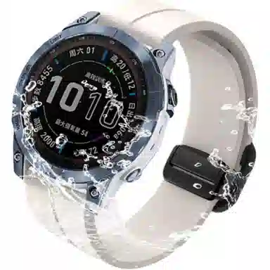 biaodaige GARMIN Forerunner 245