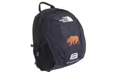 The North Face Home Slice