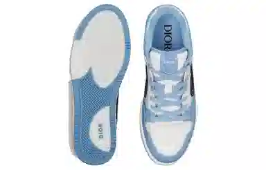 Dior Oblique B57 White Blue