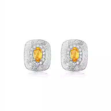 阿黛丽 轻奢大气 水晶 耳钉 女款