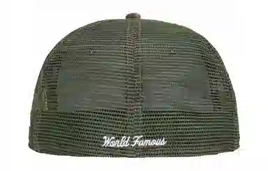 Supreme SS24 WEEK 8 BOX LOGO MESH BACK NEW ERA -