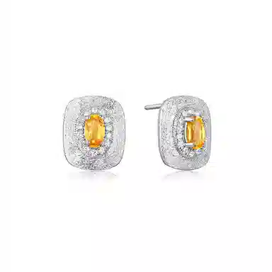 阿黛丽 轻奢大气 水晶 耳钉 女款