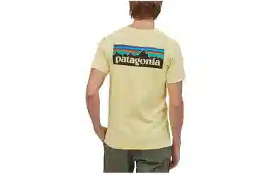 patagonia T