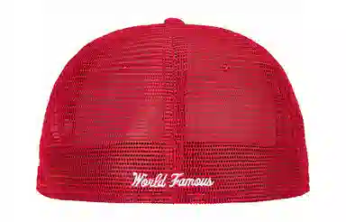 Supreme SS24 WEEK 8 BOX LOGO MESH BACK NEW ERA -