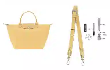 hobo longchamp