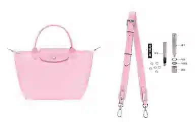 hobo longchamp