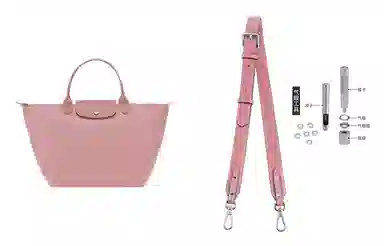 hobo longchamp