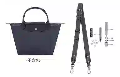 hobo longchamp