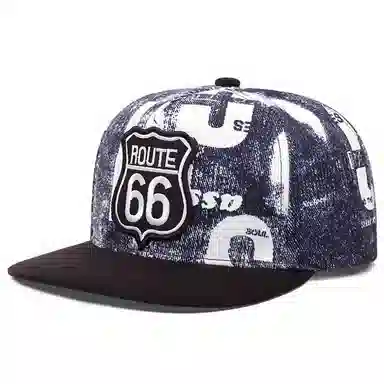 66