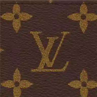 LOUIS VUITTON LV