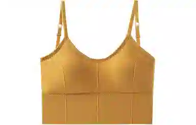 二三二三 无痕内穿外搭美背一片式聚拢无钢圈防走光抹胸薄吊带 女款