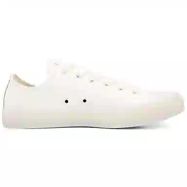 Converse Chuck Taylor All Star Low White Blue