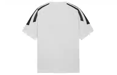 ICONS Lab T