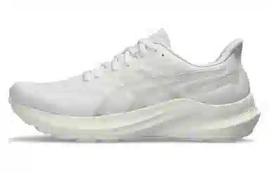 Asics GT-2000 12