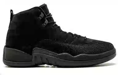 Jordan Air Jordan 12 Retro OVO Black 2017