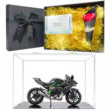 Maisto x Kawasaki 112 H2R Ninja