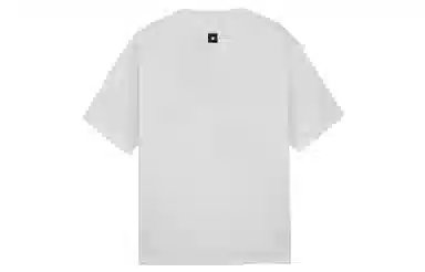 ICONS Lab T