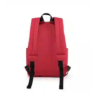 Dickies Backpack Khaki