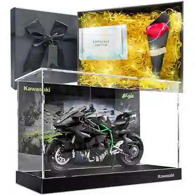 Maisto x Kawasaki 112 H2R Ninja