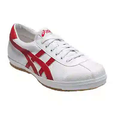 Asics TSG-110