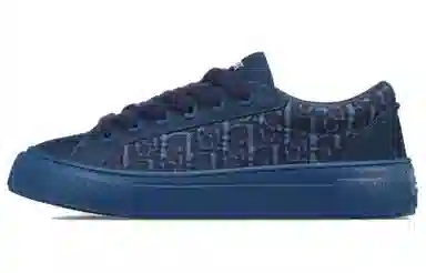DIOR B33 Oblique