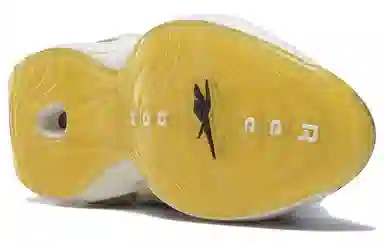 Reebok Question PUMP