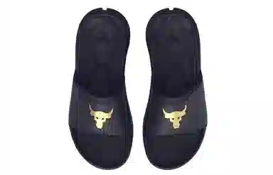 Under Armour Project Rock 3