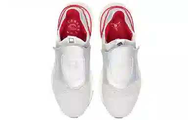 adidas Ultraboost 19 White