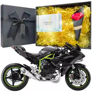 x Kawasaki 112 H2R Ninja