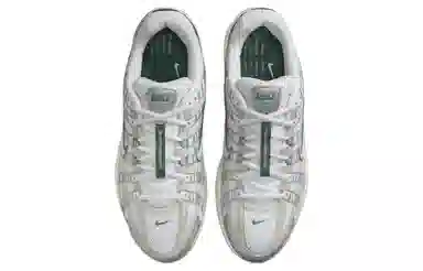 Nike P-6000 Premium