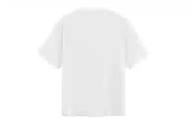 ICONS Lab T