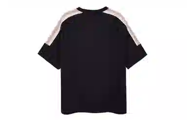 ICONS Lab T