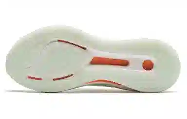 Anta Pro