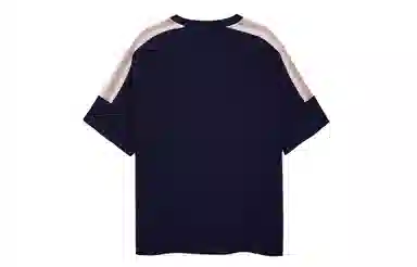 ICONS Lab T