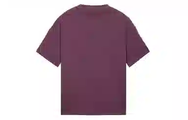 ICONS Lab T