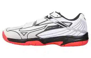 Mizuno