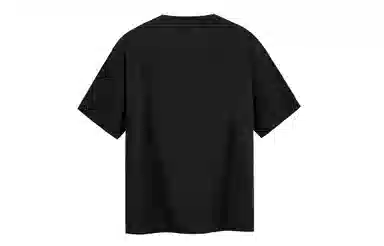 ICONS Lab T