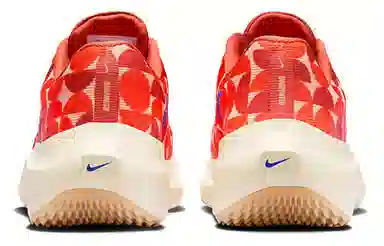 Nike Zoom Fly 5
