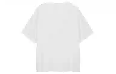 ICONS Lab T