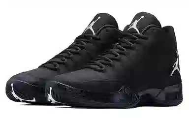 Jordan Air Jordan 29