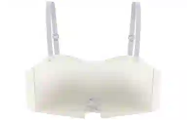 二三二三 纯色小胸聚拢上托显大防下垂无钢圈文胸 女款