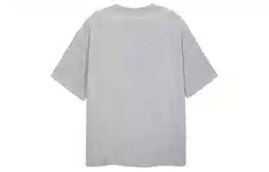 ICONS Lab T