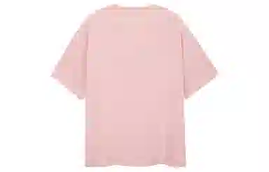 ICONS Lab T