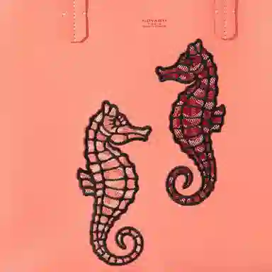 Goyard Anjou Orange Pink